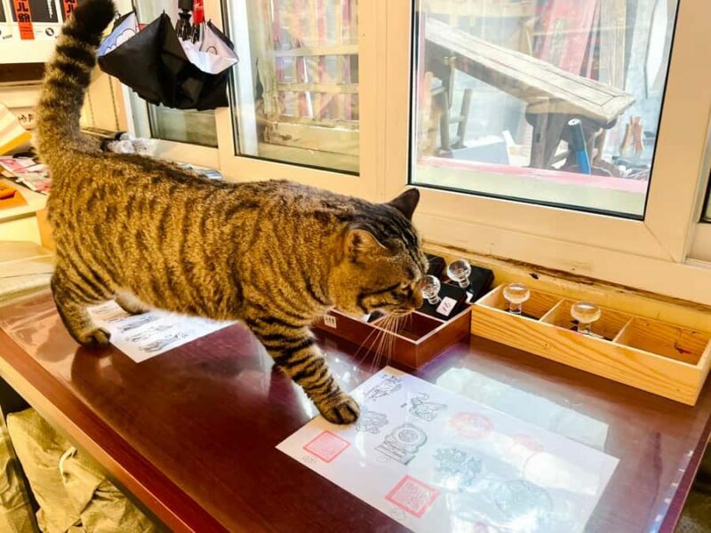 Private: Bite and Stroll: Brunch Tour in Old Town Beijing! - Who Will Enjoy This Tour?