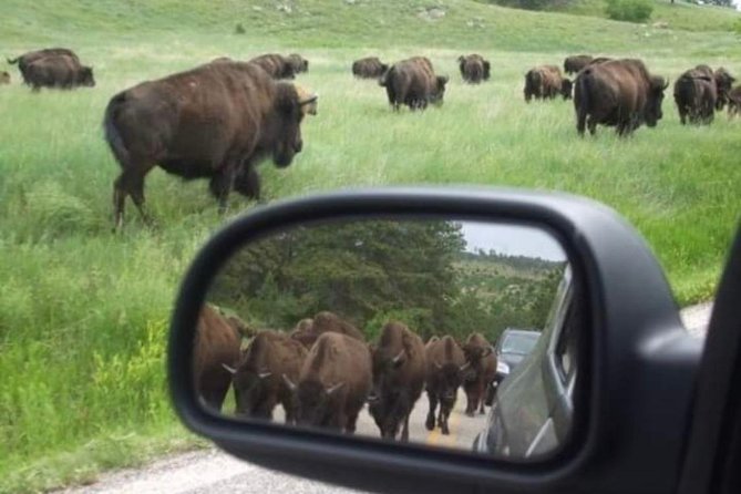 Private Black Hills Monument Package - Meeting and Pickup