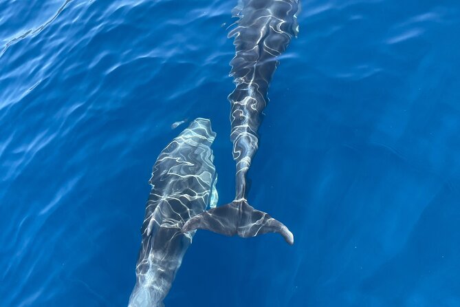 Private Blue Cave Tour-Half Day With a Speedboat - Traveler Photos