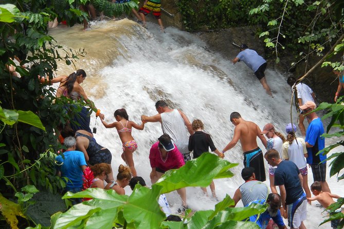 Private Blue Hole and Dunns River Falls Tour From Montego Bay - About Your Stay