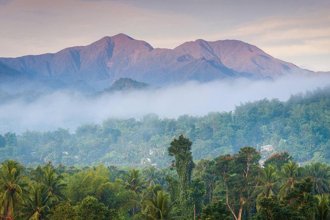 Private Blue Mountain Tour From Ocho Rios - About Your Stay