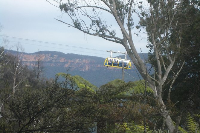PRIVATE Blue Mountains 1 Day Tour With Wildlife Park & River Cruise - Exclusions