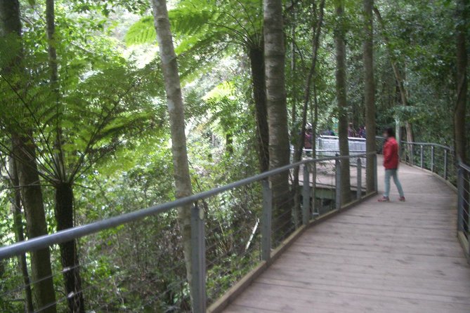 PRIVATE Blue Mountains 1 Day Tour With Wildlife Park & River Cruise - Scenic Cruise