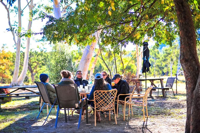 Private Blue Mountains and Winery Day-Trip From Sydney - Aboriginal Heritage and Wildlife