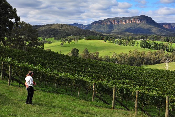 Private Blue Mountains and Winery Day-Trip From Sydney - Customer Feedback and Testimonials
