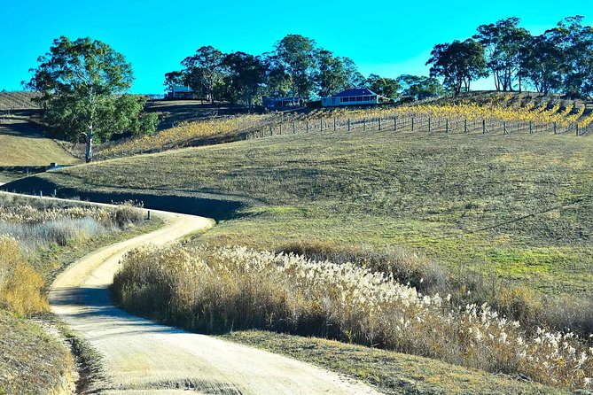 Private Blue Mountains and Winery Day-Trip From Sydney - Tailored Experiences and Itineraries