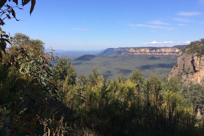 PRIVATE Blue Mountains Day Tour From Sydney With Wildlife Park and River Cruise - Pickup Information