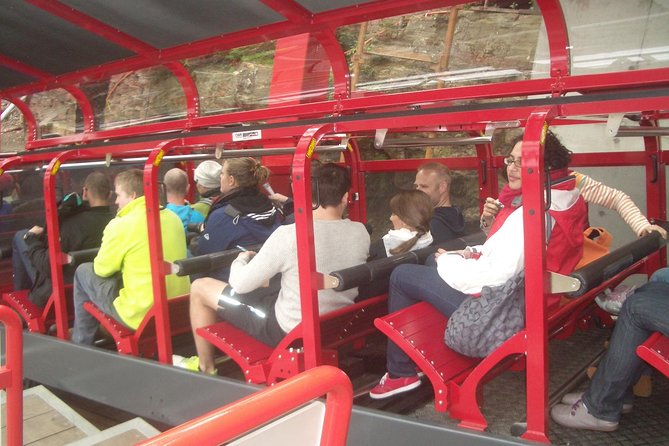 PRIVATE Blue Mountains Day Tour From Sydney With Wildlife Park and River Cruise - Traveler Experiences and Reviews