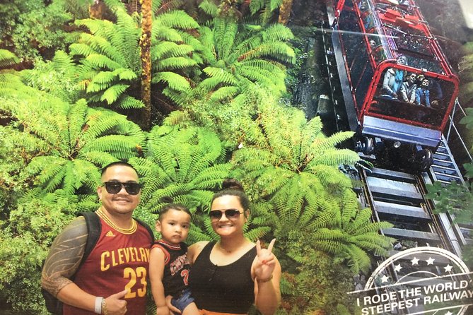 PRIVATE Blue Mountains Day Tour From Sydney With Wildlife Park and River Cruise - Encountering Koalas and Kangaroos