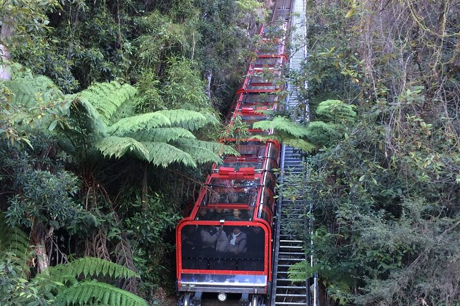 PRIVATE Blue Mountains Day Tour From Sydney With Wildlife Park and River Cruise - Scenic World Cable Car Ride