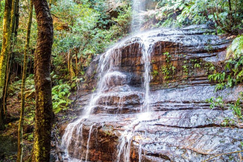 Private Blue Mountains Escape The Crowds Tour - Accessibility and Flexibility