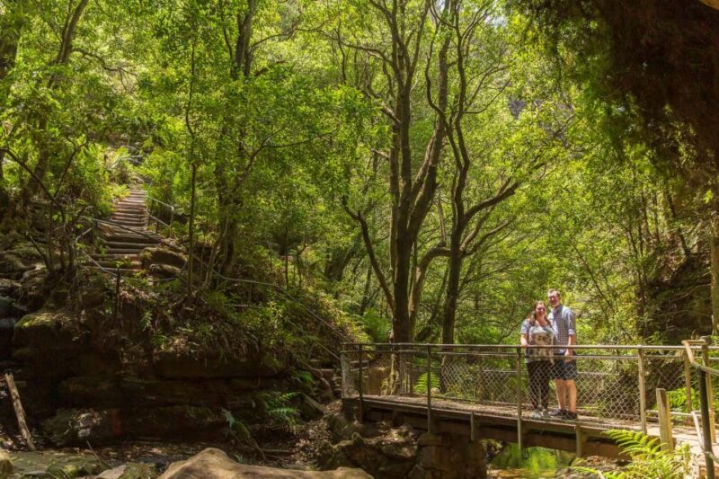 Private Blue Mountains Escape The Crowds Tour - Pricing and Booking Details