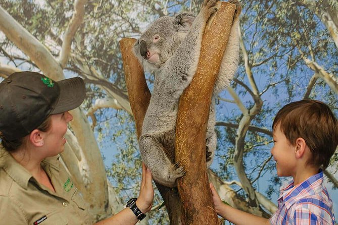 Private Blue Mountains High Country Day Trip From Sydney - Pickup Information