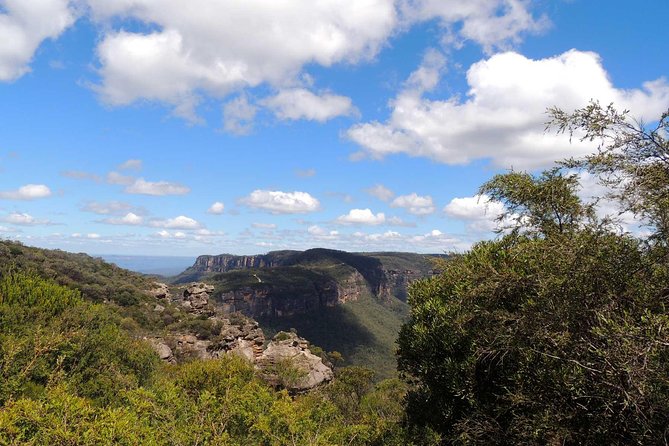 Private Blue Mountains Insider Tour From Sydney - Exploring Botanic Gardens