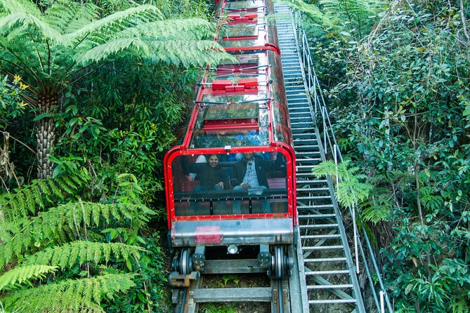 PRIVATE Blue Mountains & Scenic World Tour in a Luxury Car - Meeting and Pickup
