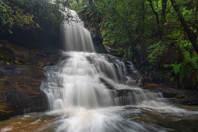PRIVATE Blue Mountains & Scenic World Tour in a Luxury Car - Tour Itinerary