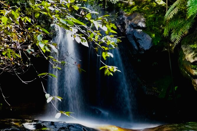 PRIVATE Blue Mountains & Scenic World Tour in a Luxury Car - Customer Feedback