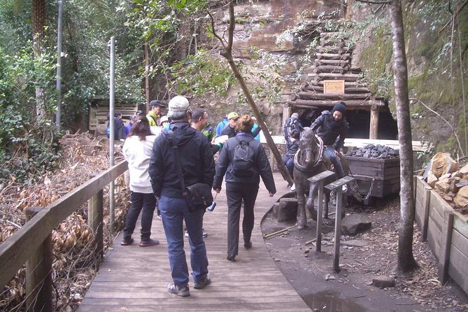 PRIVATE Blue Mountains Tour With Expert Guide - Accessibility