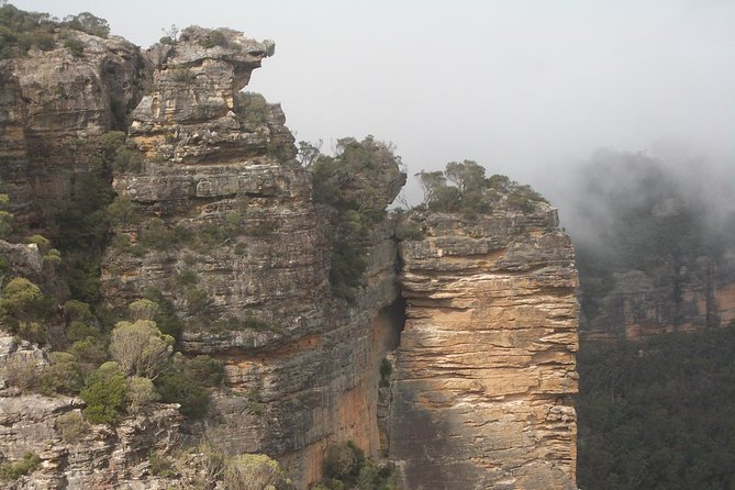 PRIVATE Blue Mountains Tour With Expert Guide - Group Participation