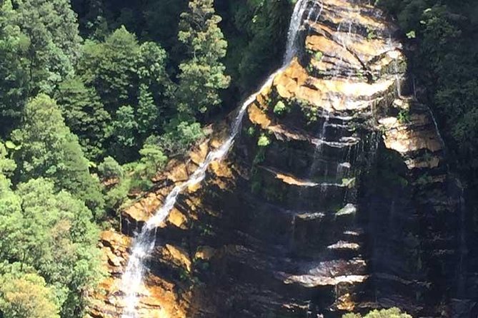 Private Blue Mountains Tour With Kangaroo and Koala Experience - Explore the Blue Mountains