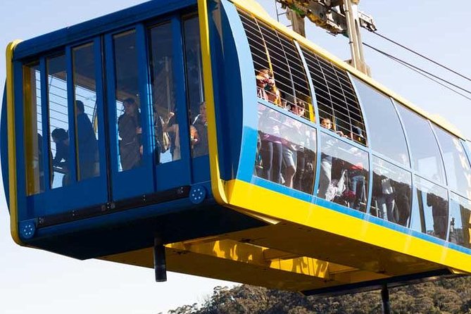 Private Blue Mountains Tour With Kangaroo and Koala Experience - Flexible Itinerary Options
