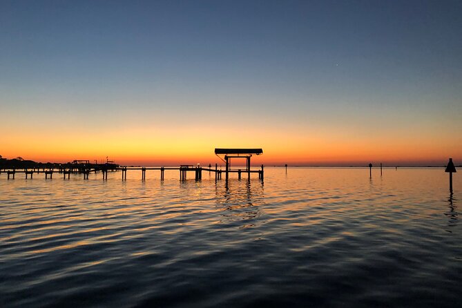 Private Boat and Dolphin Watching in Florida - Price and Rating