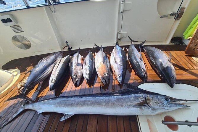 Private Boat and Fishing Tours in Greek Islands - Cancellation and Refund Policy