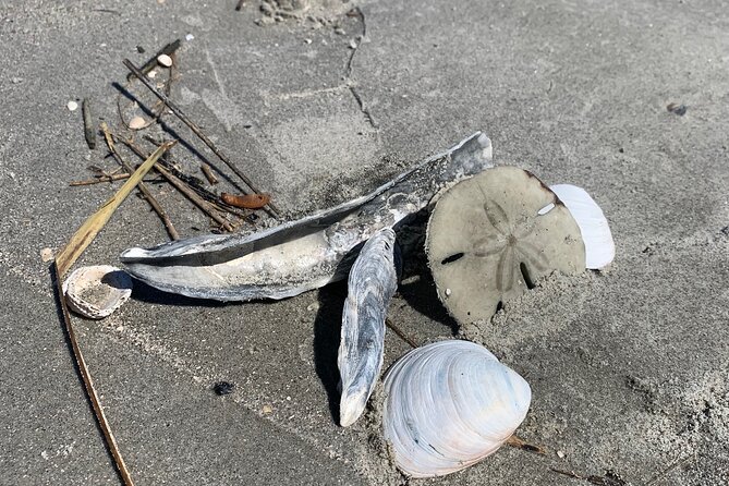 Private Boat Beach Break in Charleston - Frequently Asked Questions