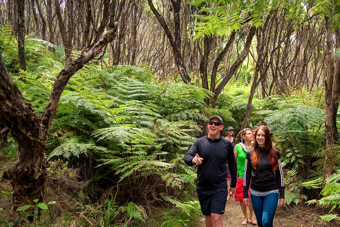 Private Boat Charter in Abel Tasman National Park - Pricing and Booking Information