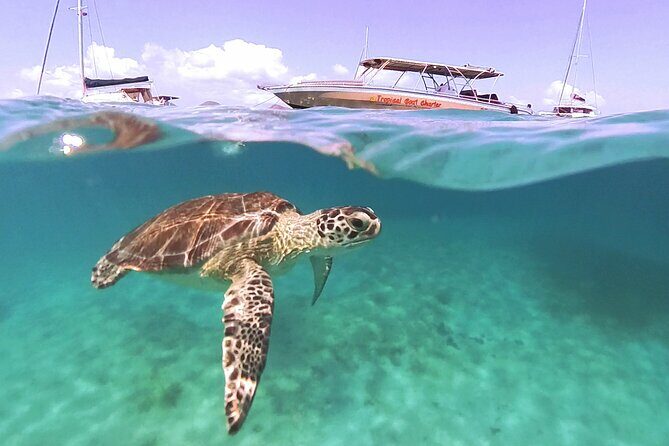 Private Boat Charter Saint Martin & natural reserve - The Sum Up: Who Will Love This Tour?