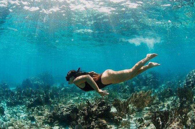 Private Boat Charter Snorkeling Stingray City or Bio Bay - Final Thoughts