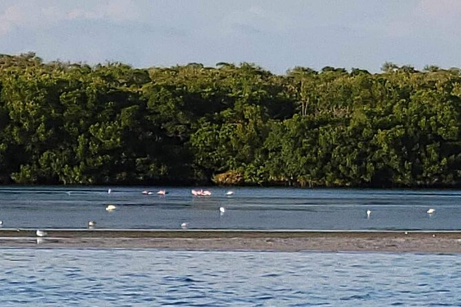 Private Boat Charter to Johns Pass, Shell Key and Egmont Key - Visiting Egmont Key