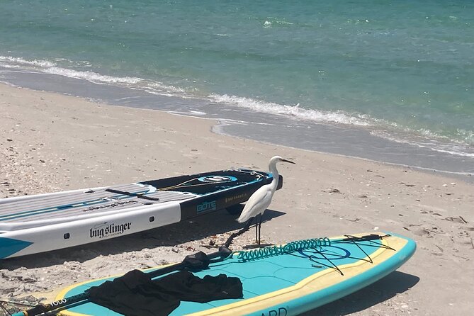 Private Boat Charters in Saint James - Making the Most of Your Charter Experience