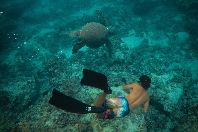 Private Boat Cruise of Waikiki! Snorkel, Sightseeing, Sea Life! - Meeting and Pickup Information