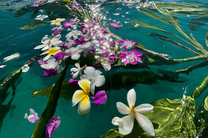 Private Boat Cruise of Waikiki! Snorkel, Sightseeing, Sea Life! - Highlights and Unique Features