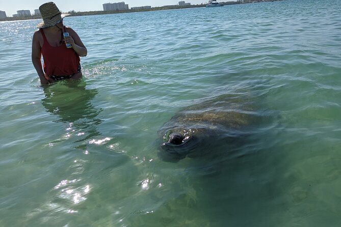 Private Boat Day Tour In Sarasota - Schedule and Availability