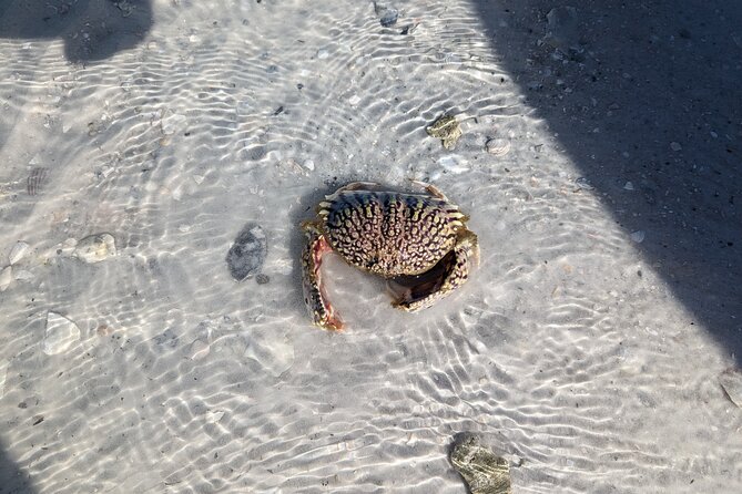 Private Boat Day Tour In Sarasota - Inclusions and Accessibility