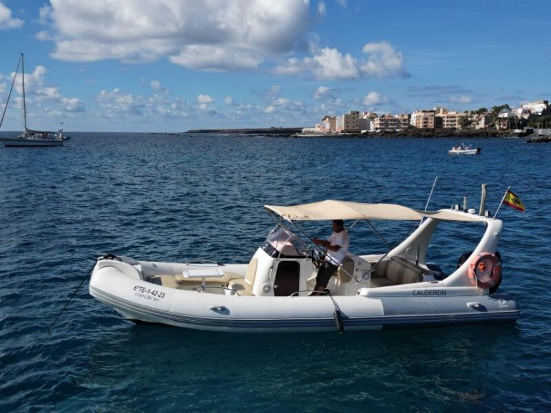 Private Boat Excursion: 2 to 6 Hours of Seaside Bliss - Marine Life Encounters