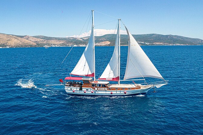 Private Boat Experience in Bodrum Coast With Snorkeling and Coves - Animal Policy