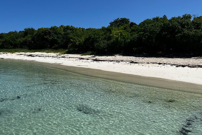 PRIVATE BOAT Half Day Discover Green Island and Sea Turtles - Meeting and Pickup Details