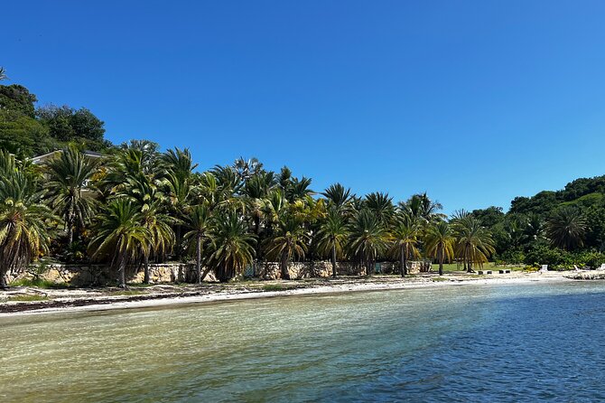 PRIVATE BOAT Half Day Discover Green Island and Sea Turtles - Secluded Beach Experience