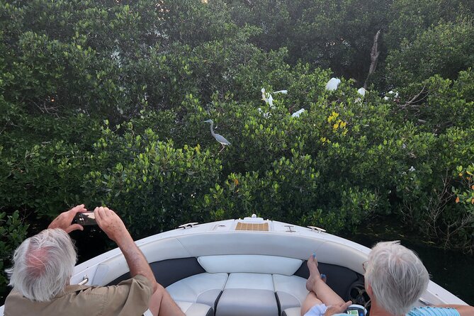 Private Boat: Island Cruise and Dolphins - Pricing and Booking
