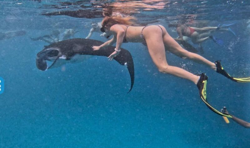 Private Boat Nusa Penida Day Tour With Snorkeling & LandTour - Itinerary Highlights