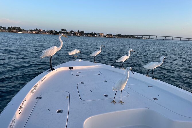 Private Boat Offering Dolphin Watching, Island Excursions and Nature Tours - Overview of Private Boat Tour