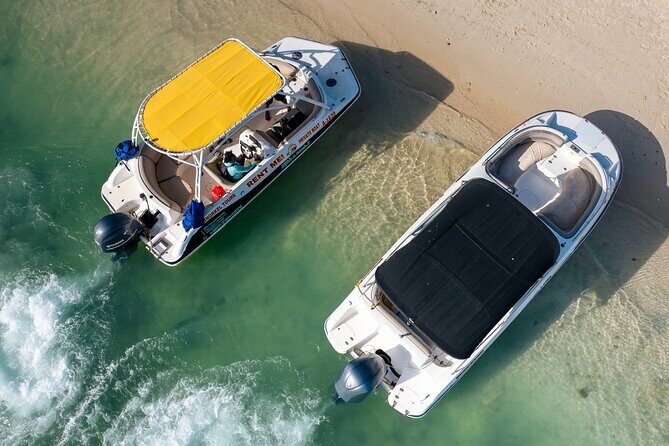 Private Boat & Snorkeling Adventure on Arubas Crystal Coast - The Realities of Booking and Cost