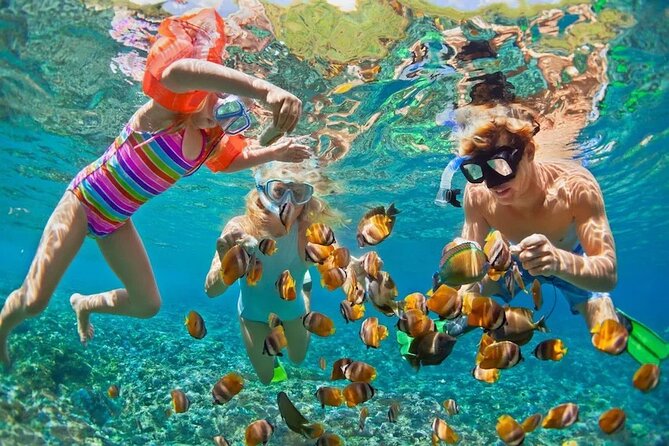 Private Boat Snorkeling and Swim With Shark and Stingray - Accessibility Options
