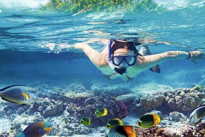 Private Boat Snorkeling Trip And Lunch Up To 10 Pax From Hurghada - Private Tour Details