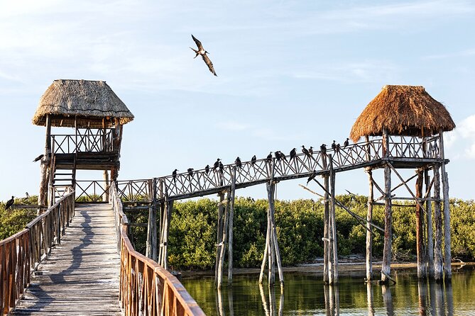 Private Boat to Visit Holbox Surroundings (3-Island Tour) - Meeting Point and Departure