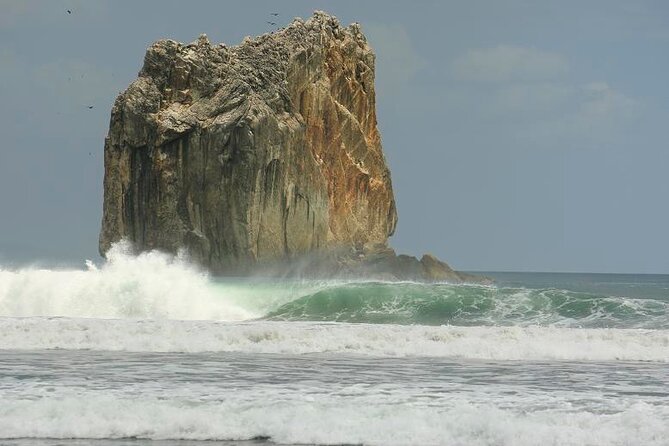 Private Boat to Witches Rock & Ollies Point - Key Points