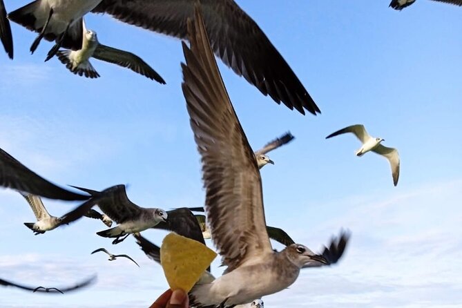 Private Boat Tour (3 Islands Tour) - Highlights and Attractions